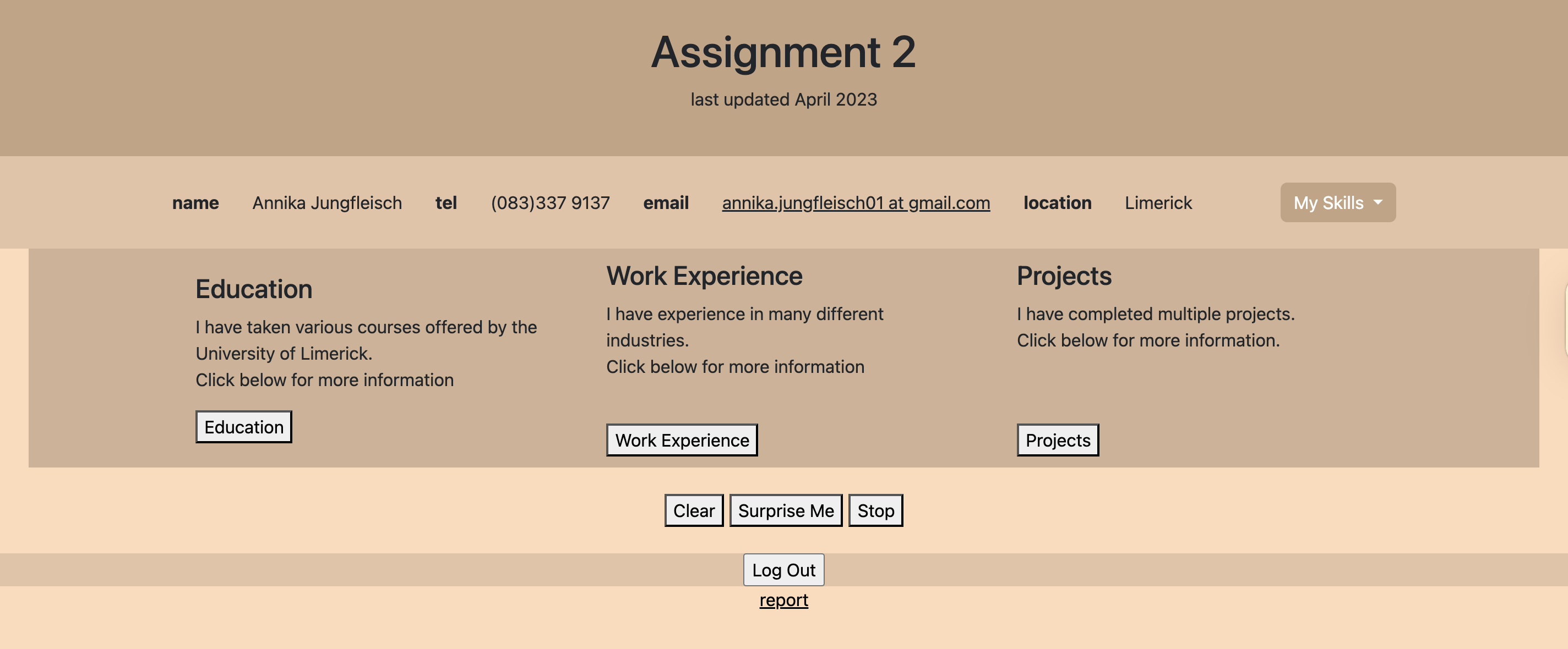 Website Mock Up
